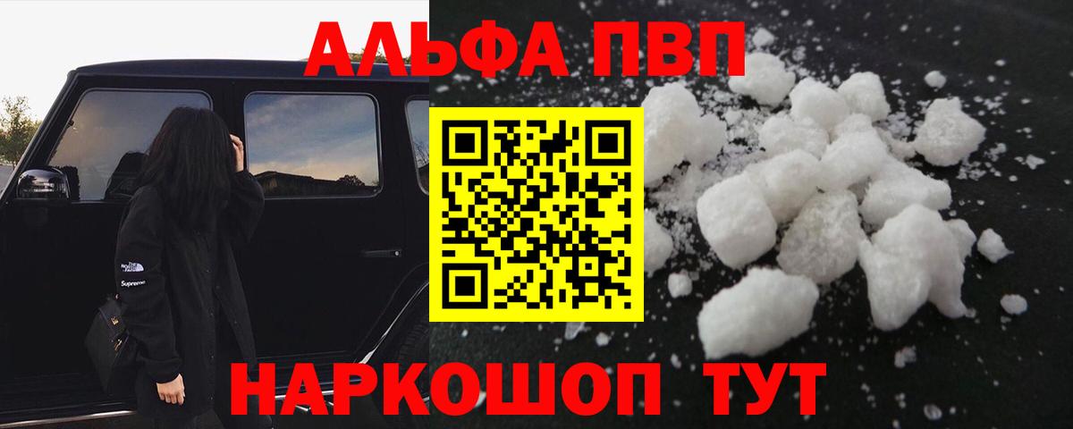 Alfa_PVP СК Киселёвск