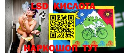 PSILOCYBIN Краснознаменск