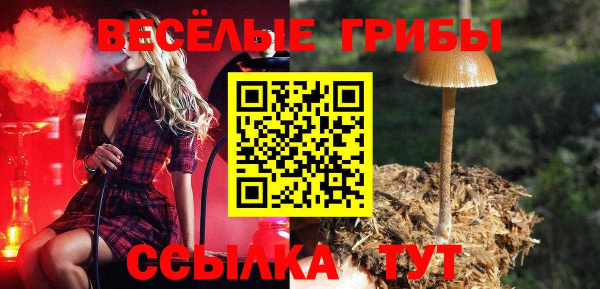 Галлюциногенные грибы мухоморы  Вход с VPN  Псилоцибиновые грибы прущие грибы  Киселёвск 