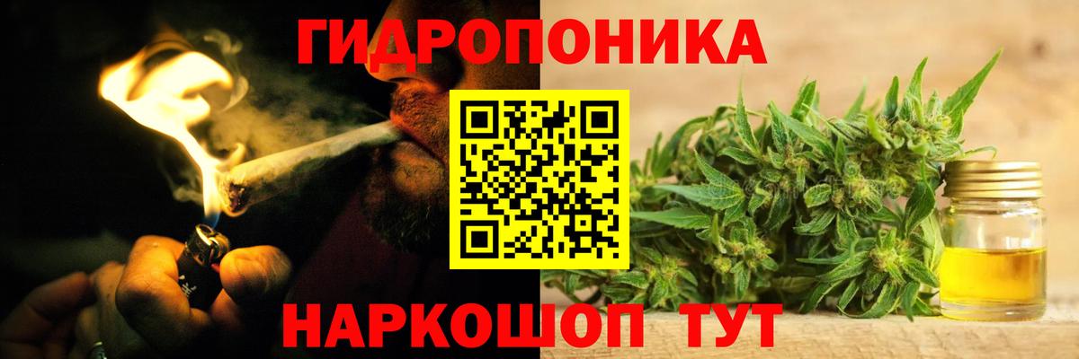 Шишки марихуана гибрид Киселёвск